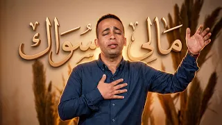 مالي سواك   ايام الحصاد  الأقصر                                               دندنها