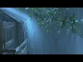 Goodbye Stress to Sleep Instantly with Heavy Rain & Thunder on Old Metal Roof in Rainforest at Night