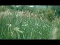 Je ne suis pas digne (I’m Not Worthy)  French Version