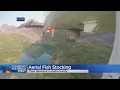 Colorado Parks And Wildlife Conducts Aerial Fish Stocking Operation