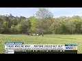 Witness describes calling 911 helping first responders after deadly New Market plane crash