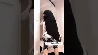 هز طيز كحبة سعودية  هز طيز كحبة سعودية