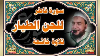 سورة فاطر كاملة قوية شديدة على الجن الطيار استمع وتدبر وكأنك تخاطبه حتى ترى هدايته بإذن الله 