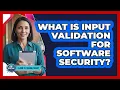 What Is Input Validation for Software Security