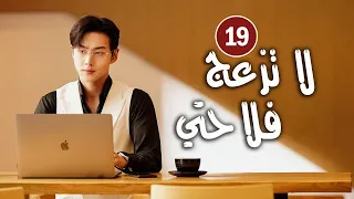 حلقة 19 دراما زواج رئيس متعجرف من فلاحة في القرية لا تزعج فلاحتي Don T Disturb Me Farming 