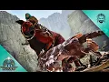 Stealing Deinonychus Eggs the Easy Way ARK Valguero E3