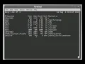 26 Linux Commands for Beginners The Watch Command