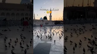 قلبي في المدينة الحلم اصبح حقيقة اكسبلور Maherzain Ramadan2025 Madina أناشيد إسلامية 