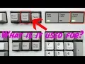What is the scroll lock button used for