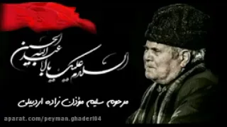 نوار کامل نوحه ی زینب زینب حاج سلیم موذن زاده اردبیلی نوحه ماندگار از حنجره طلایی سلطان المادحین 