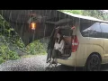 Download Lagu ☔️폭우캠핑 • 비바람이 몰아치는 시원한 빗소리 들으며 만두전골에 소주 한잔 • 차박캠핑