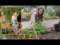 Download Lagu Meghan Preps Fake Garden Shoot After Princess Kate Steals the Spotlight with Catherine’s Rose