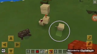 محمديامن النجار 