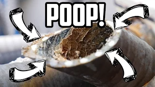 Sail Life – Osmosis repair, removing the heads, Blue Sea SafetyHub 150 and more  diy