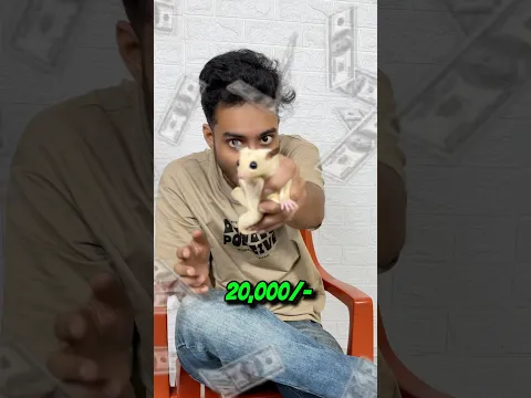 Mere upar susu kar diya #shorts #minivlog