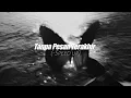 Download Lagu Seventeen - Tanpa Pesan Terakhir (Speed up)