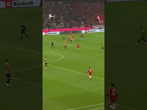 Harry Kane back to his quarterback best 🎯