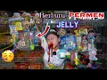 Download Lagu BORONG PERMEN JELLY SAMPAI MUNTAH DARAH ! Wow Kolam Renang ku Jadi Merah