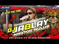 Download Lagu DJ JABLAY X PARTY NROTOK‼️LADY RARA VIRAL TIK TOK TERBARU 2024 EPJ MUSIC FT ELSEN REBECCA
