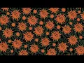 Feid, Jhay P - YO AK (Visualizer)