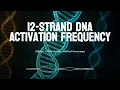 12-Strand DNA Activation Frequency | 528Hz + 7.83Hz + 144Hz + 963Hz (1 Hour Loop)