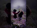 Download Lagu Nagiro naginaro song lyrics #mgk #love #lovesongs #lovesong #music