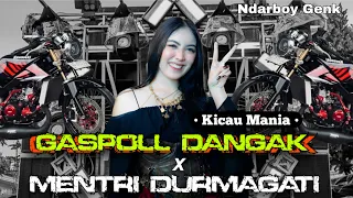 yang lagi viral dj gaspoll ndangak kicau mania x durmagati viral tiktok yang kalian cari
