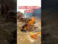 Download Lagu काशी विश्वनाथ | Kashi Vishwanath | Banarash  | #manikarnikaghat #manikarnika #kashi #kashivishwanath