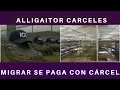 Download Lagu EL DELIRIO DE TRUMP: LA CARCEL DE LOS CAIMANES QUE UTILIZARA CONTRA MIGRANTES