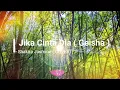 Download Lagu Jika Cinta Dia - Geisha || Cover by Shakira Jasmine ( Lirik )