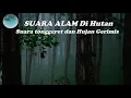 Download Lagu SUARA ALAM di HUTAN | Suara Tonggeret Garengpung dan suara Gerimis