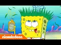 Download Lagu SpongeBob Kanciastoporty | Czy Pan Krab i Plankton są przyjaciółmi?! | Nickelodeon Polska