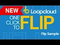 One-Click Magic Flip Sample Your Loops Into Fresh Ideas with Loopcloud FREE Plugin Bundle
