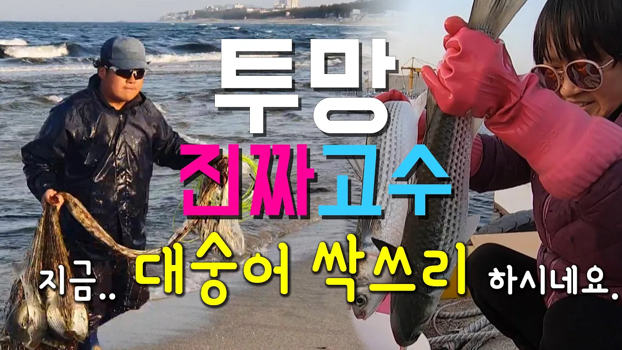 강릉 영진항 해변투망 고수를 만났어요. 진기명기, 싹 쓰리 하시네요..동해바다 강릉 영진항은 지금 숭어가 눈이 안보인다는 황금 어장이에요.. #투망 #숭어투망 #동해투망 #영진항 サムネイル