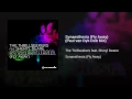 Synaesthesia (Fly Away) (Paul van Dyk Dub Mix)
