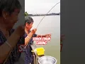 Download Lagu Senior Mancing 893 #fishing #mancing #ikan #mancingliar #fish #strike #mancingmania