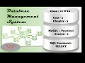 MySQL Practical Session - 6 DQL Command