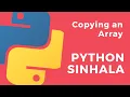 Python Sinhala Part 40 - Copying an Array