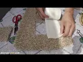 DIY Carpet Repair VS PROFESSIONAL Carpet Repair