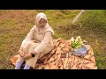 Selaras - Kunto Aji ft. Nadin Amizah (Cover Music Video)