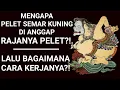 Download Lagu 🔴 AJIAN ILMU PELET SEMAR KUNING TANPA PUASA CUMA PAKAI FOTO TANPA TIRAKAT YG MELELAHKAN