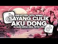 Download Lagu DJ AYO SAYANG CULIK AKU DONG VIRAL TIKTOK FULL SONG 2024