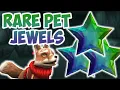 AFK Farming For Some of the RAREST Pet Jewels in Wizard101