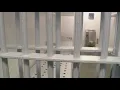 Shelby County Jail inmate dies following medical emergency SCSO s say