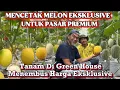 Download Lagu TANAM MELON DI GREEN HOUSE : SOLUSI MENGHASILKAN MELON EKSKLUSIVE \u0026 KUALITAS PREMIUM