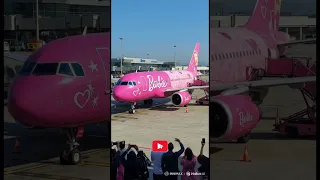 Barbie Themed Plane Would You Fly In Style 