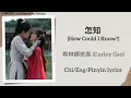Download Lagu 怎知 (How Could I Know?) - 希林娜依高 (Curley Gao)《大奉打更人 Guardians of the Dafeng》Chi/Eng/Pinyin lyrics