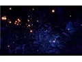Download Lagu Enya - Even In The Shadows (Official Lyric Video)