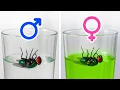 Facts That Make You Go Huh and Then Google for an Hour