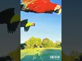 Download Lagu Kini Tiba Saatnya Kita Untuk Berpisah.